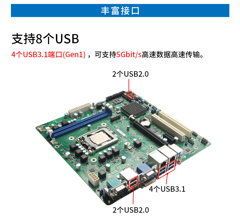 DT-610P-JH310MB_16.jpg