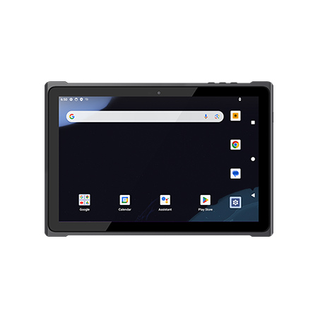 10英寸二维扫描三防平板电脑 DTZ-T1001E-8781
